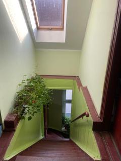 Apartament Ordona 9 - widok na jezioro i park - Szczecinek - 3