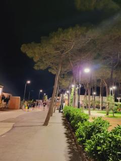 Ejstel Apartment 39 - Durazzo - 5