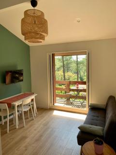 Appartement cosy au calme - Seignosse Les bourdaines - Seignosse - 5