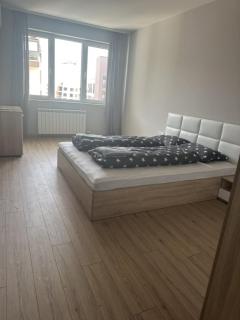 Modern apartment & private parking - Sofia - 4