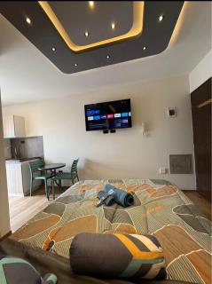 Very comfortable and elegant atmosphere - Cochabamba - 2