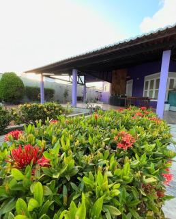 Flor de Ipê Hostel - Natal - 0