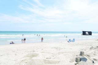 Blue Wave Retreat in Heart of Myrtle Beach - Myrtle Beach - 8