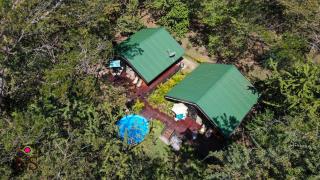 Nicoya Silvestre - Lepanto - 1