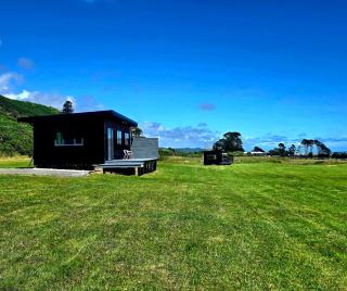Tiny House 2 by the beach - Greymouth - 3