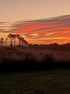 Tiny House 2 by the beach - Greymouth - 1