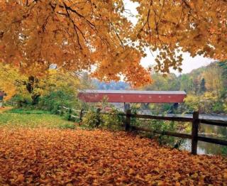 The Woodridge Retreat - Goshen - 2