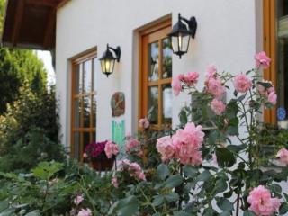 1-bedroom holiday park - Brakel - 3