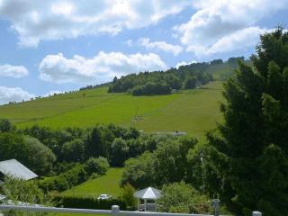 1 bedroom apartment - Willingen - 9