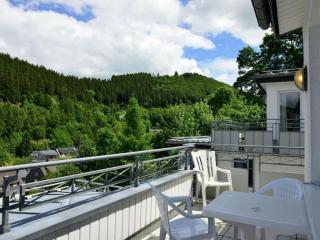 1 bedroom apartment - Willingen - 0
