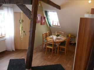 Modern holiday home with sauna in Lothe - Schieder-Schwalenberg - 1