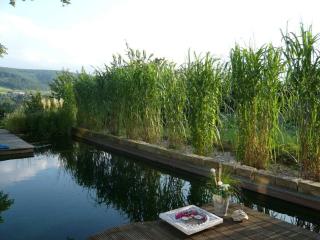 Luxurious villa in Bad Pyrmont - Bad Pyrmont - 3