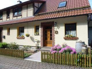 Quiet holiday home with terrace - Korbach - 5