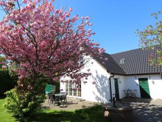 Holiday home in Morsum Sylt with Wi-Fi - Morsum - 9