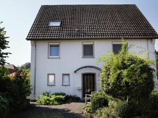 Holiday apartment with sauna - Nieheim - 6