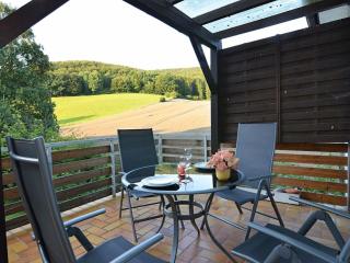 Holiday apartment in Bad Pyrmont with balcony - Bad Pyrmont - 6