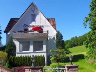 Holiday apartment in Bad Pyrmont with balcony - Bad Pyrmont - 4