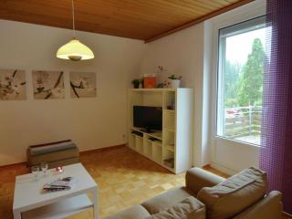 Holiday apartment in Bad Pyrmont with balcony - Bad Pyrmont - 3