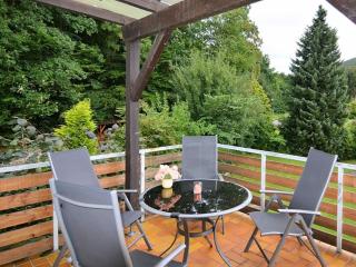 Holiday apartment in Bad Pyrmont with balcony - Bad Pyrmont - 8