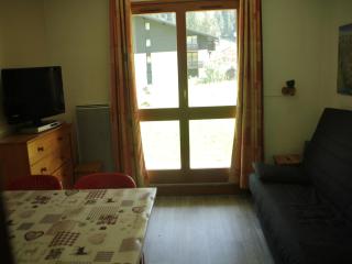 Apartment in Chatel for 4 people - Châtel - 1