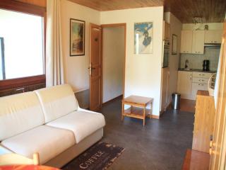 Apartment for 4 people with balcony - Châtel - 1