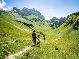 Apartment with parking in Chatel - Châtel - 3
