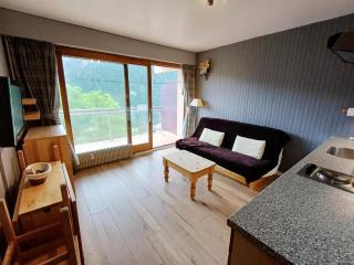 Apartment in Chatel for two people - Châtel - 9
