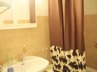 Apartment in Chatel for 5 people - Châtel - 1