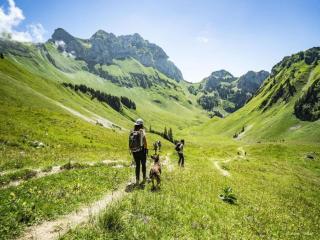 Alpage apartment for 3 persons - Châtel - 3