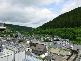 1 bedroom apartment - Willingen - 6