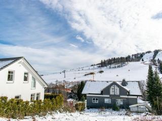 1 bedroom apartment - Willingen - 7
