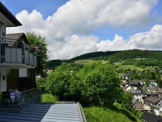 1 bedroom apartment - Willingen - 1