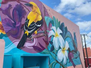 Trina Cozy Suites - Willemstad - 7
