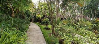 Maso Christian Villa - Tumbak Bayuh - 5