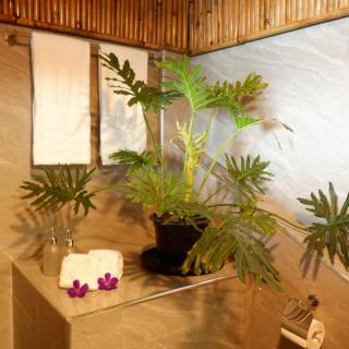 The Bamboo Cabin - Valencia - 4
