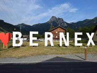 Appartement à Bernex près des pistes, 4 pers, balcon - FR-1-498-114 - Bernex - 3
