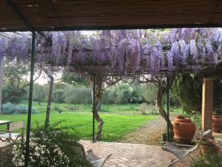 Casale Ai Poggi - Orbetello - 5