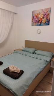 Targu Jiu Central Apartment - Târgu Jiu - 7
