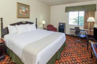 Best Western Bolingbrook Hotel - Bolingbrook - 4