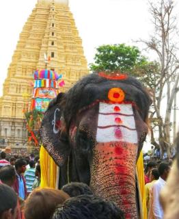 Mamatha Guest inn - Hampi - 2