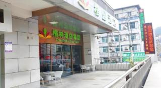 GreenTree Alliance Hotel Guiyang Huaguo Community Central Business Zone - Guiyang - 6