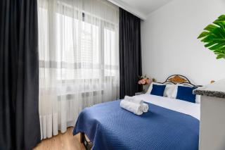 A wonder of the world - 8