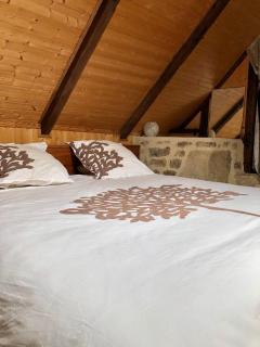 Petite maison du causse - Salles-la-Source - 2