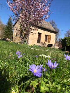 Petite maison du causse - Salles-la-Source - 0