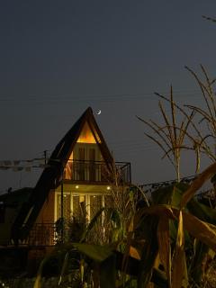 The Soul Stroll Cottages Retreat - Mukteshwar - 4