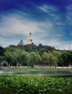 The Purple Horse Hotel 北京紫龙花园酒店 - Beijing Sky Garden Boutique Hotel & Rooftop Infinity Mini Pool & near Forbidden City & Wangfujing & Tiananmen & Nanluoguxiang & Lama Temple - Beijing - 5