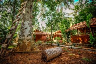 Little Cabanas Udawalawe - 4