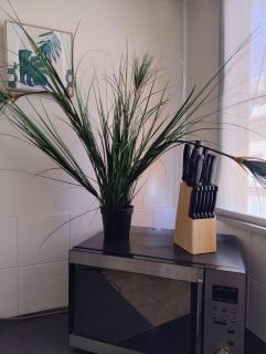 Corella Accommodation 1B - Boulder - 1