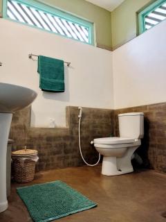 The Jungle House - 5