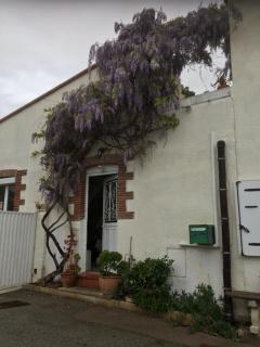 Cocon - Saint-Nazaire - 5